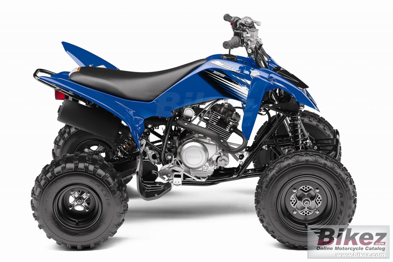 Big Yamaha raptor 125 picture and wallpaper from Bikez.com